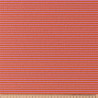 Striped Jersey AIGUEMARINE Tangerine / Candy